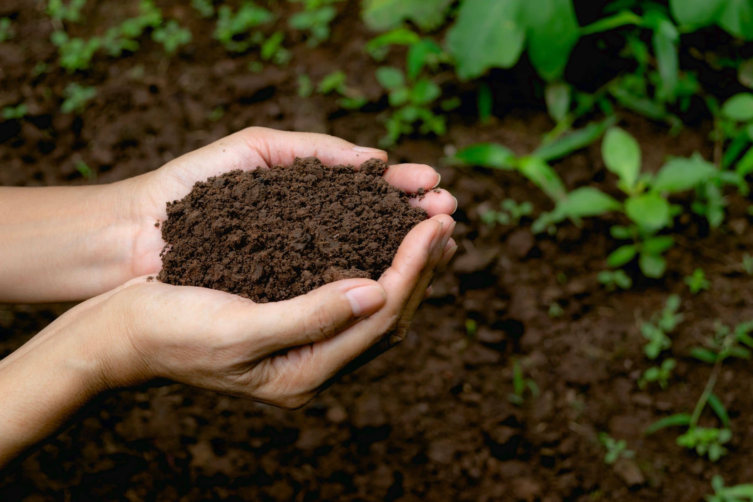 research paper on soil analysis pdf